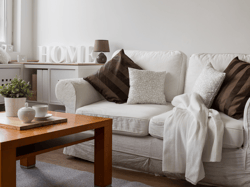 Generic Home Living Room